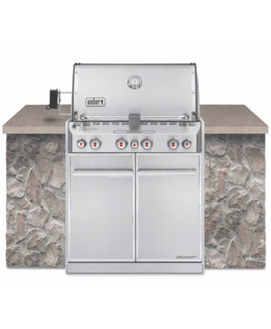 Weber Summit® S 460